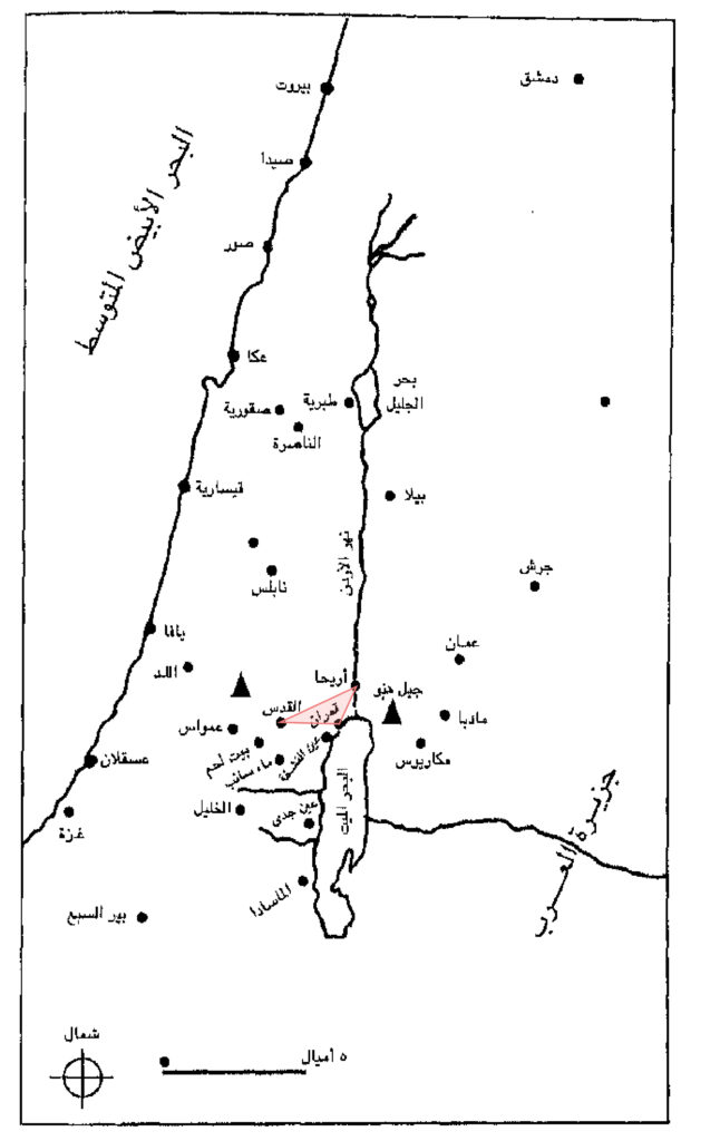 صورة رقم 3 (2)